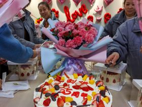 开云官方端网页版登录入口-开云(中国)
举办三八妇女节活动